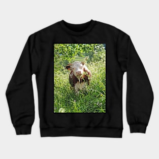 Cow Bliss Crewneck Sweatshirt